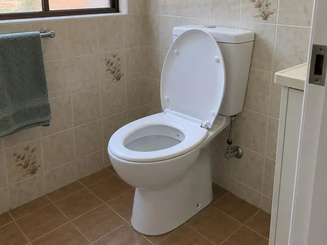 Clean white toilet in a tiled bathroom with open lid and dry floor in Canley Heights